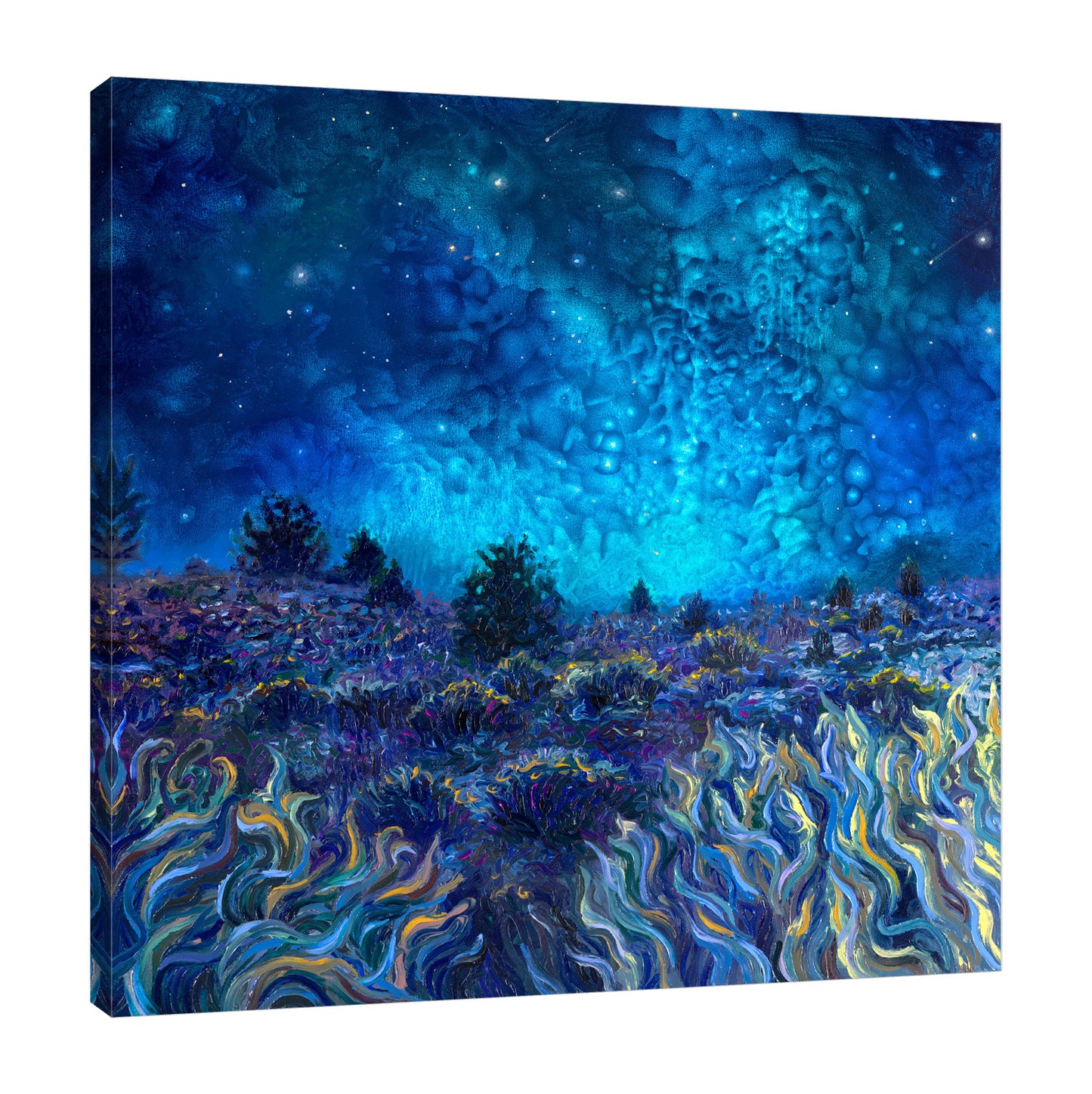 Terra Nocturna