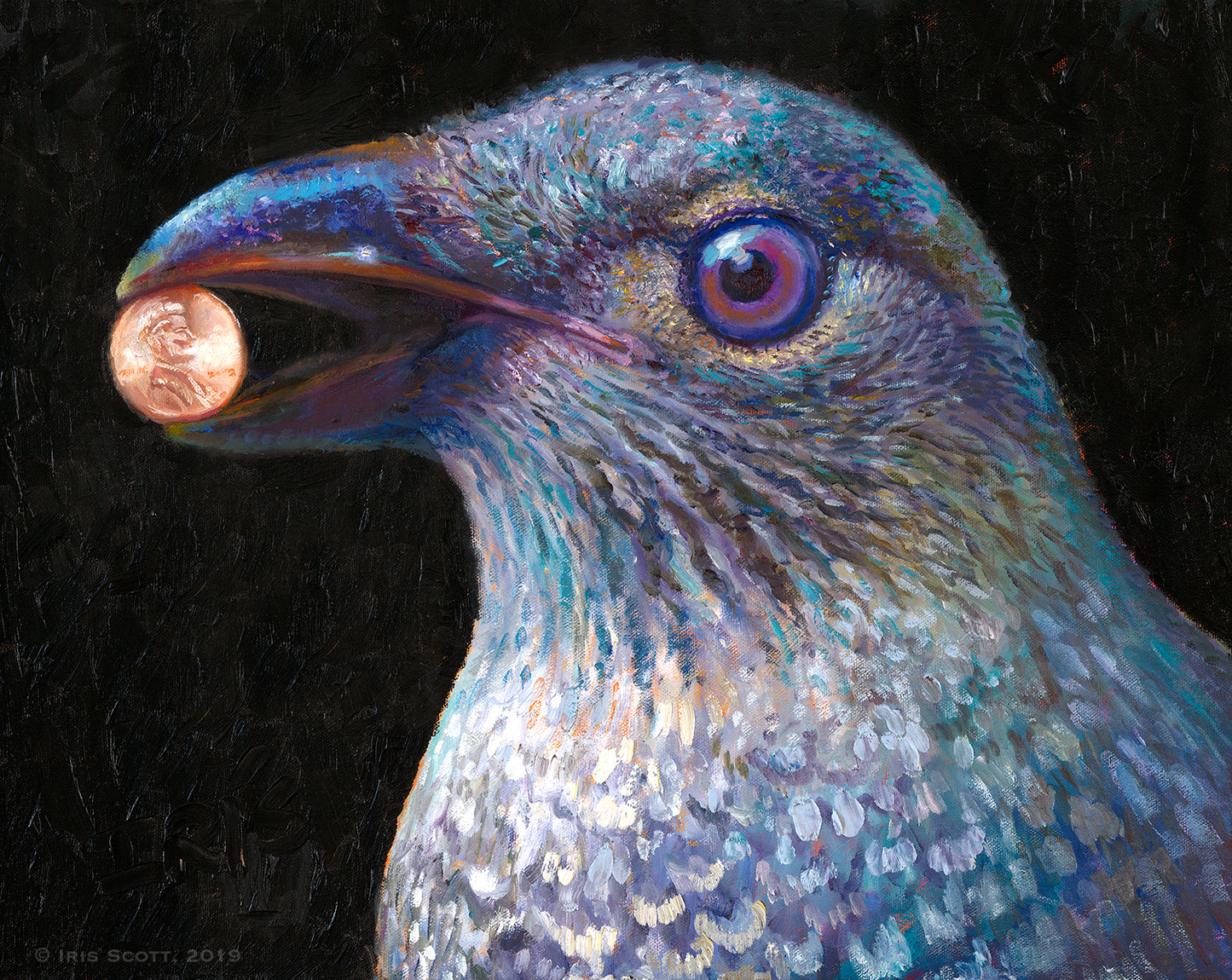 Bower Bird