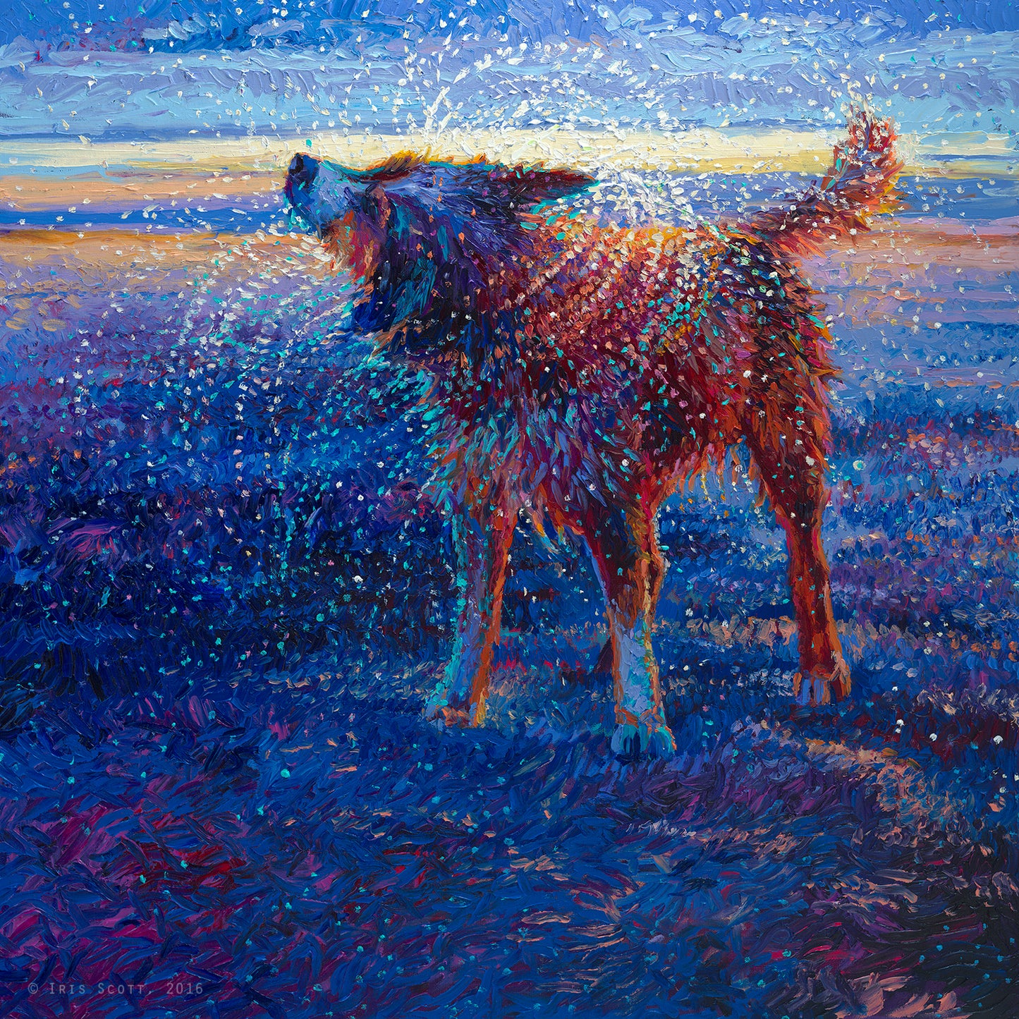 Coastal Canine Paper Print