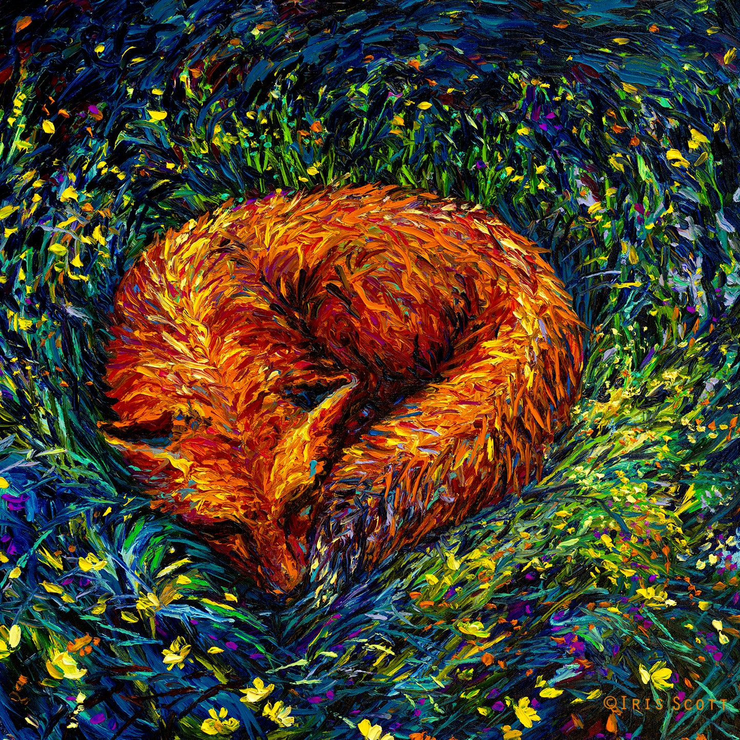 Fox Nap Paper Print