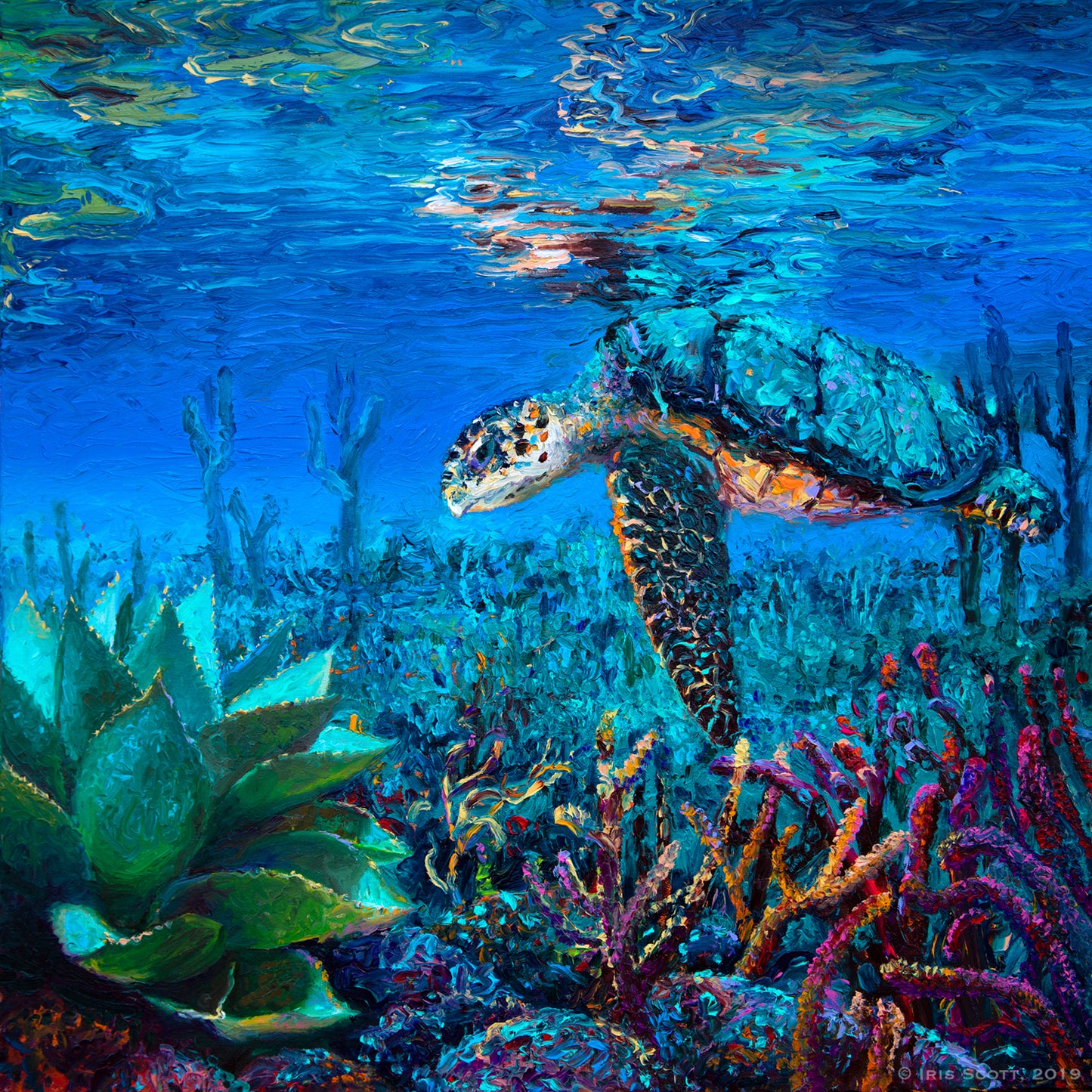 Loggerhead Paper Print