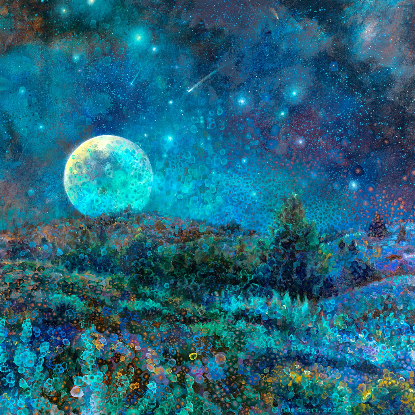 New Mexico Moonrise