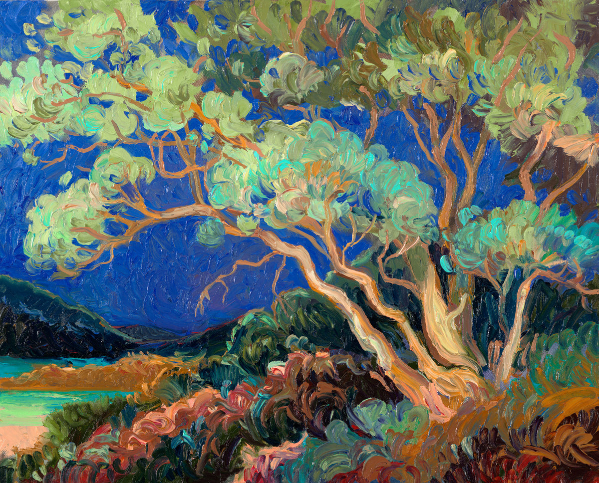 Paperbark Hush - Original