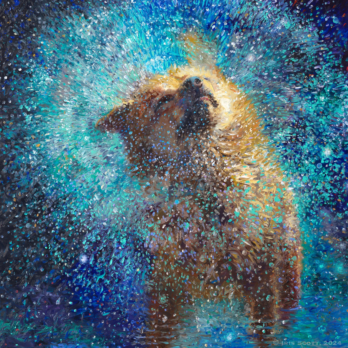 Queen of Shiba - Original