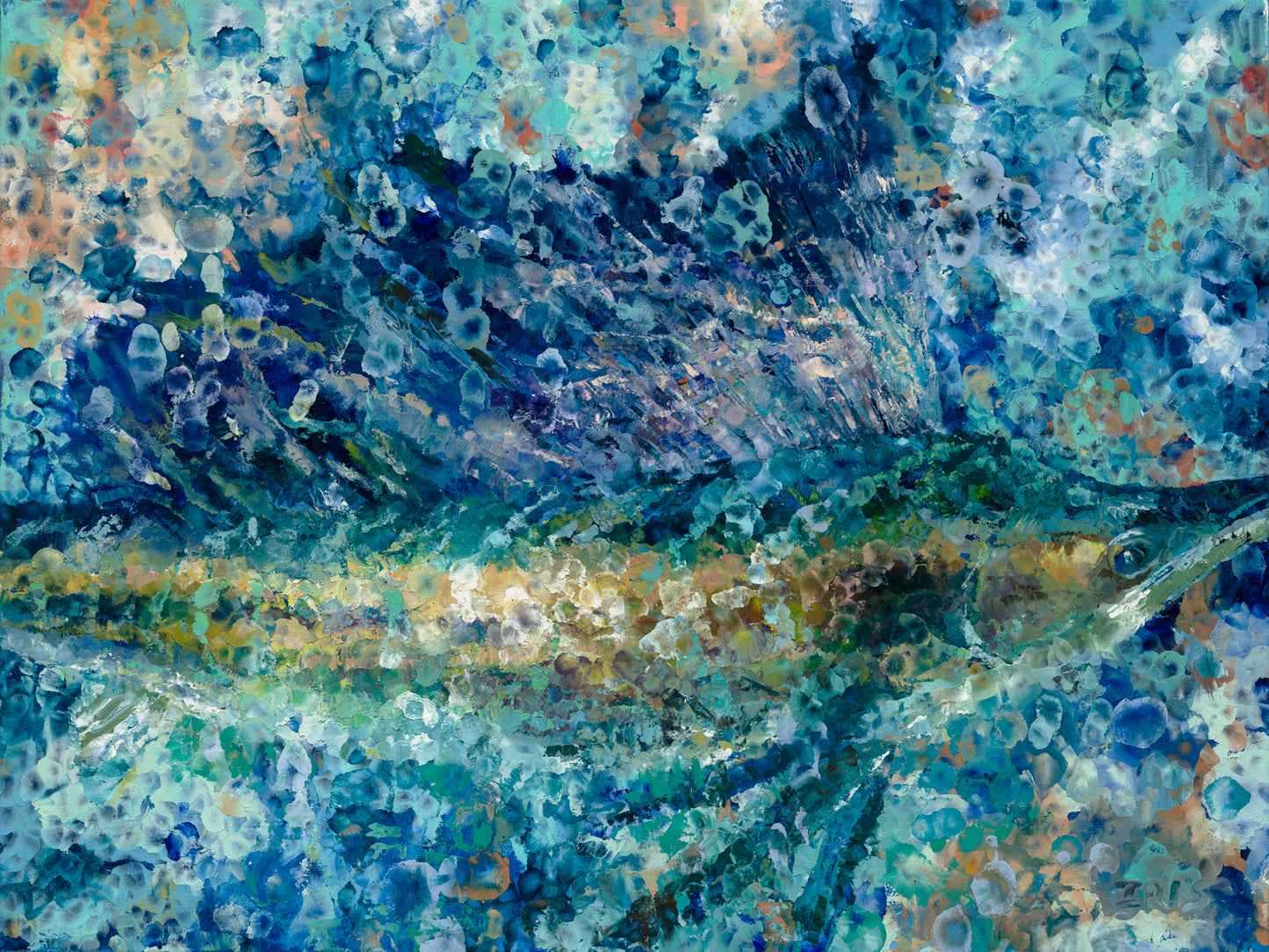 Sailfish Shallows