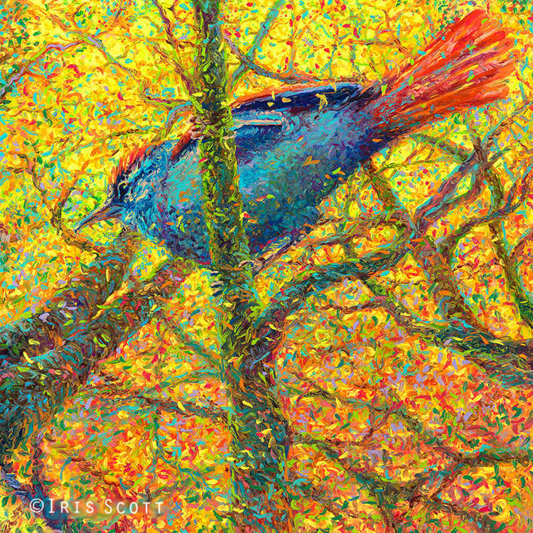Yellow Bluebird Paper Print