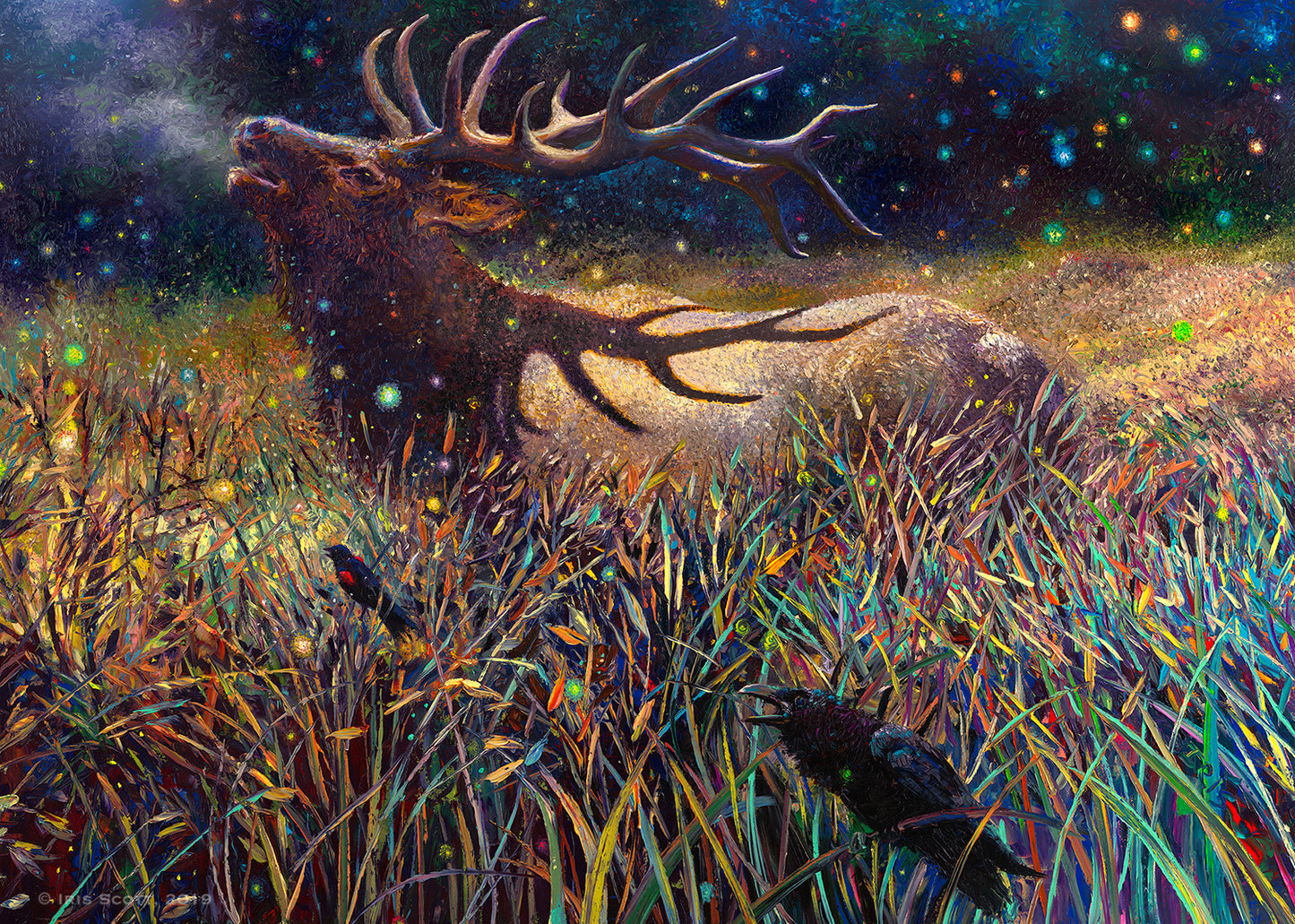 Wapiti