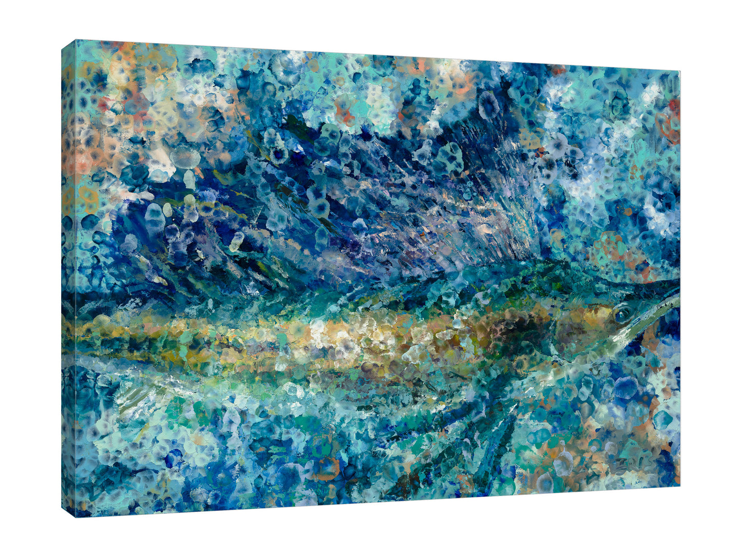 Sailfish Shallows