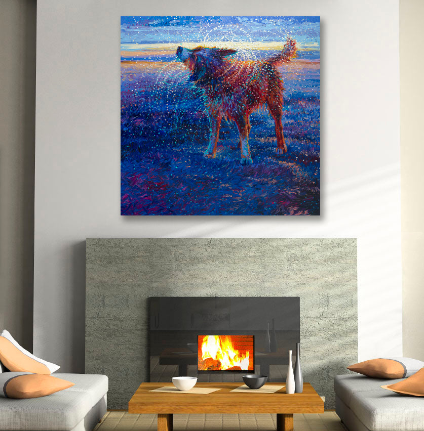 Coastal Canine