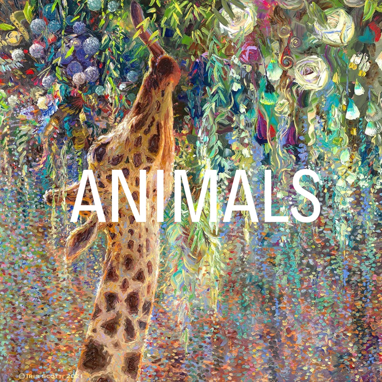 Iris Scott | Official Artist's Website