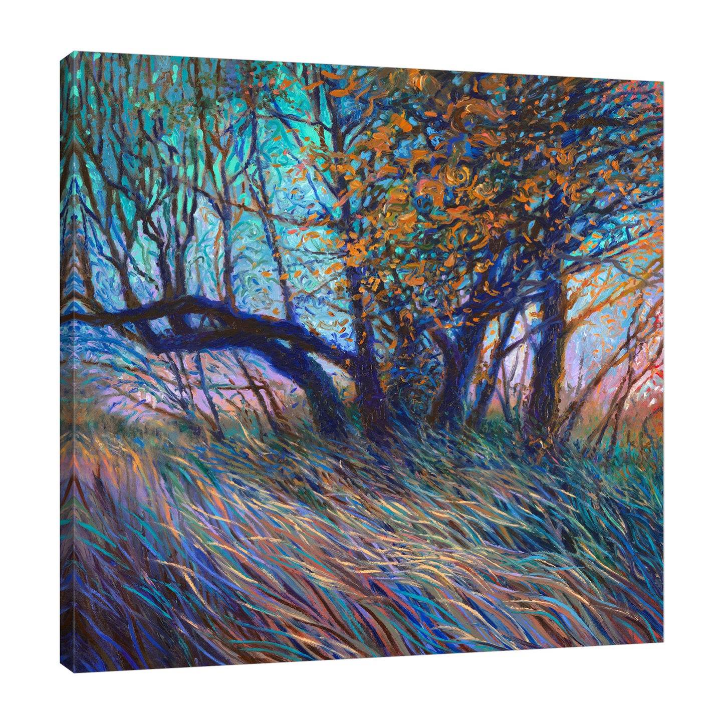 The Bosque
