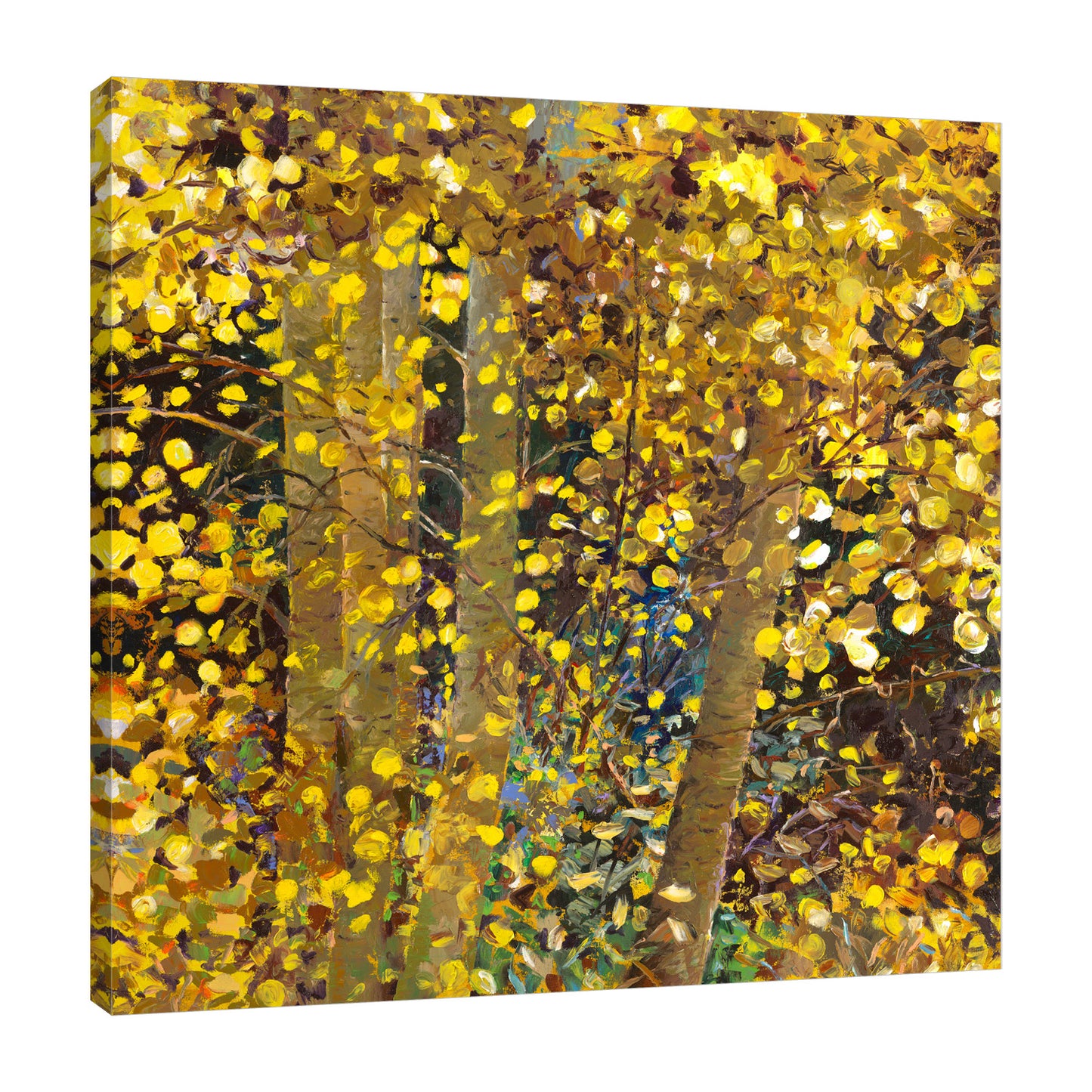 Gilden Woodland