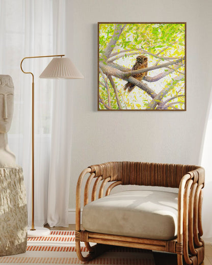 Indian Owl Spotted