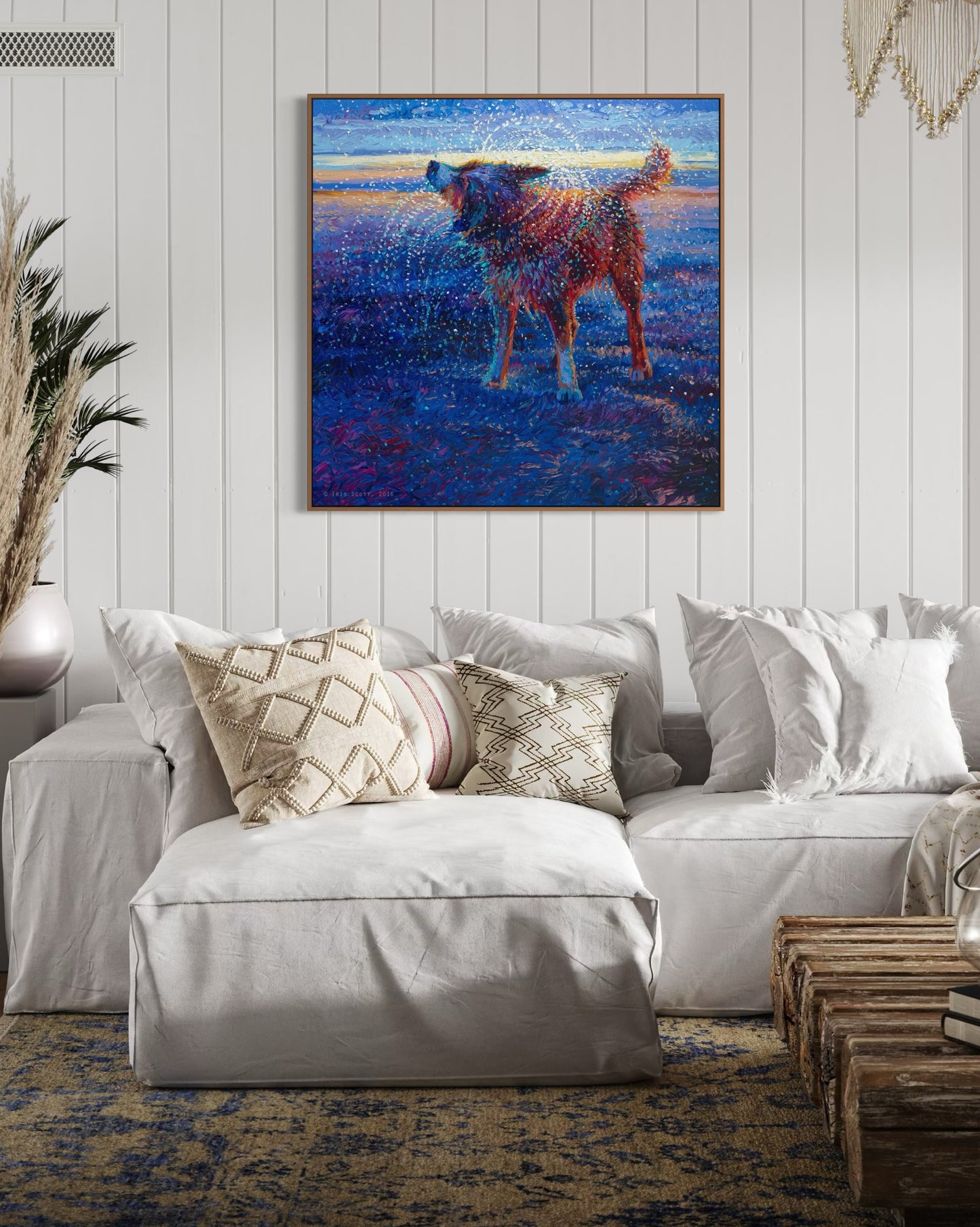 Coastal Canine
