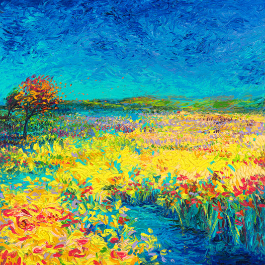 Daffodil Creek