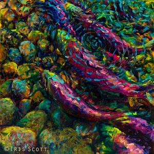 Ankle Deep in Sockeye, 16x16, Limited Edition, Gallery Wrap