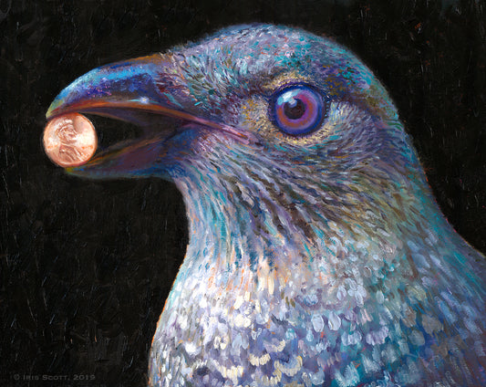 Bower Bird