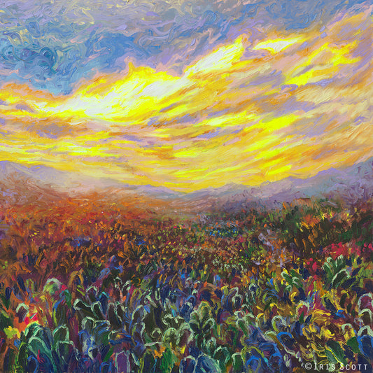 Cacti Sunrise