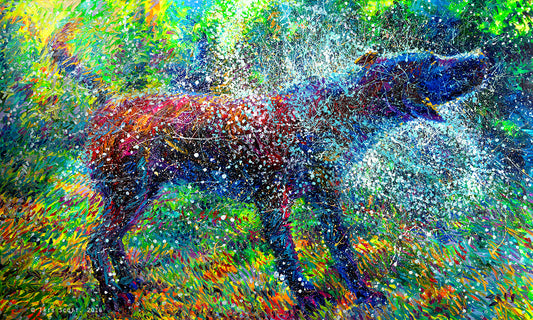 Canis Major