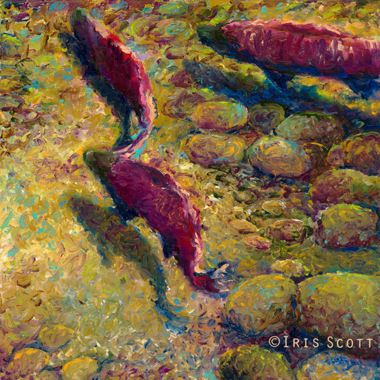 Cork Creek