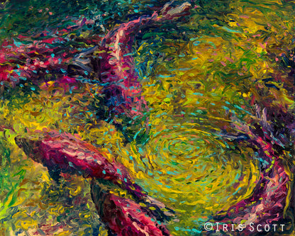 December Sockeye, 16x20, Limited Edition, Gallery Wrap