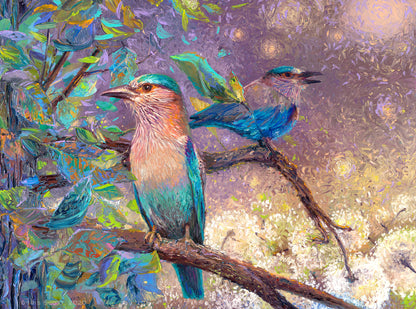 Indian Rollers