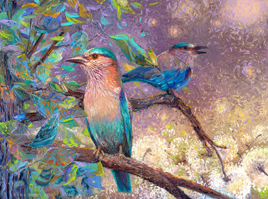 Indian Rollers