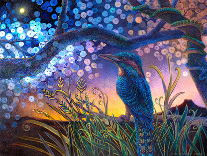 Kookabura Nightndayle