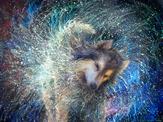 Luna The Sidereal