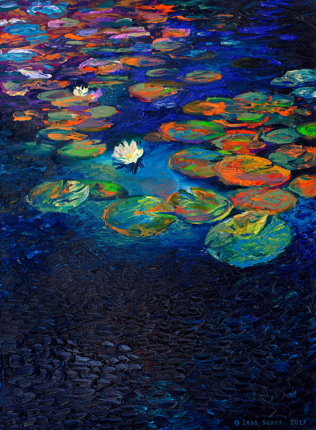 Nymphaea Lotus
