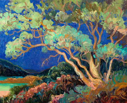 Paperbark Hush - Original