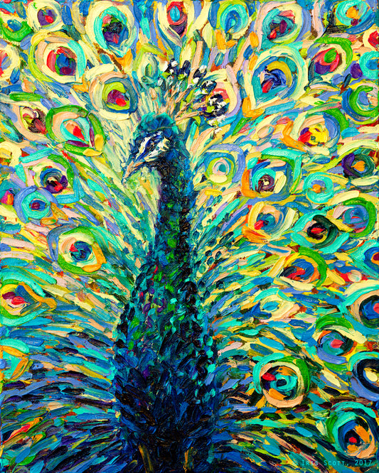 Pompon Crest