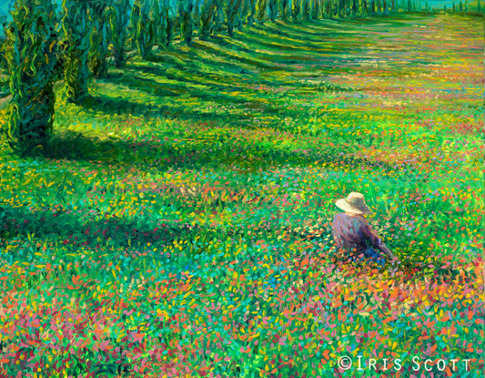 The Home Place