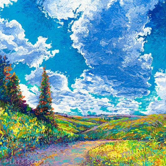 Edge Of Canyon Road