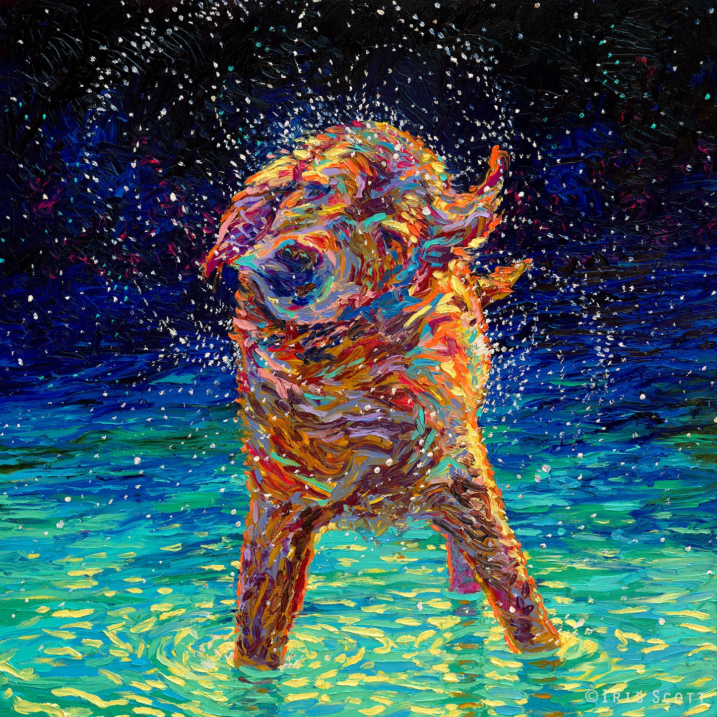 Golden Retriever canvas print Moonlight Swim featuring a dog standing with paws in water and shaking off stylish wall art for home or office deco