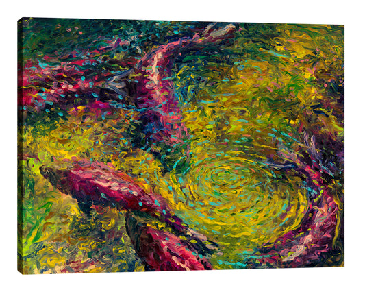 December Sockeye, 16x20, Limited Edition, Gallery Wrap
