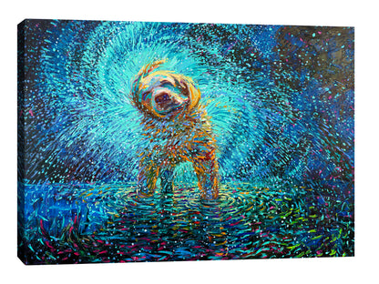 Labrador Jazz
